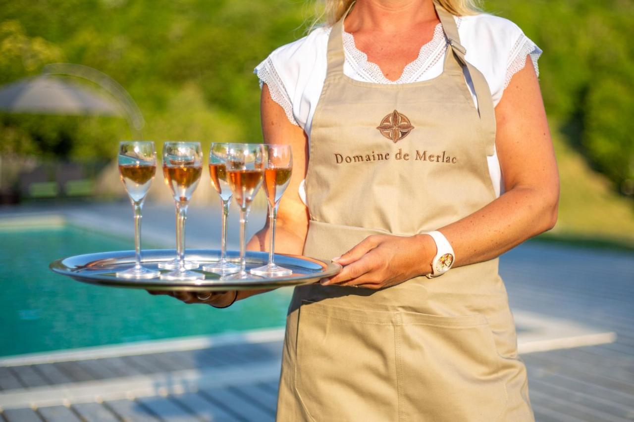 Domaine de Merlac Rieussec Buitenkant foto