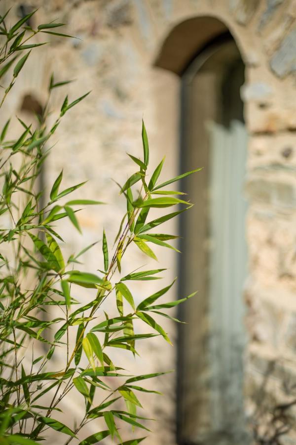 Domaine de Merlac Rieussec Buitenkant foto